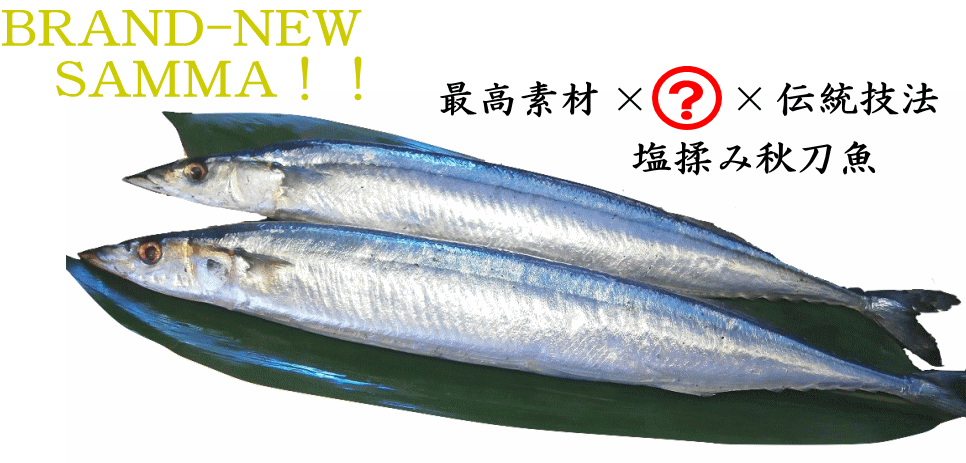 塩揉み秋刀魚 クイックフィッシュ銘品館
